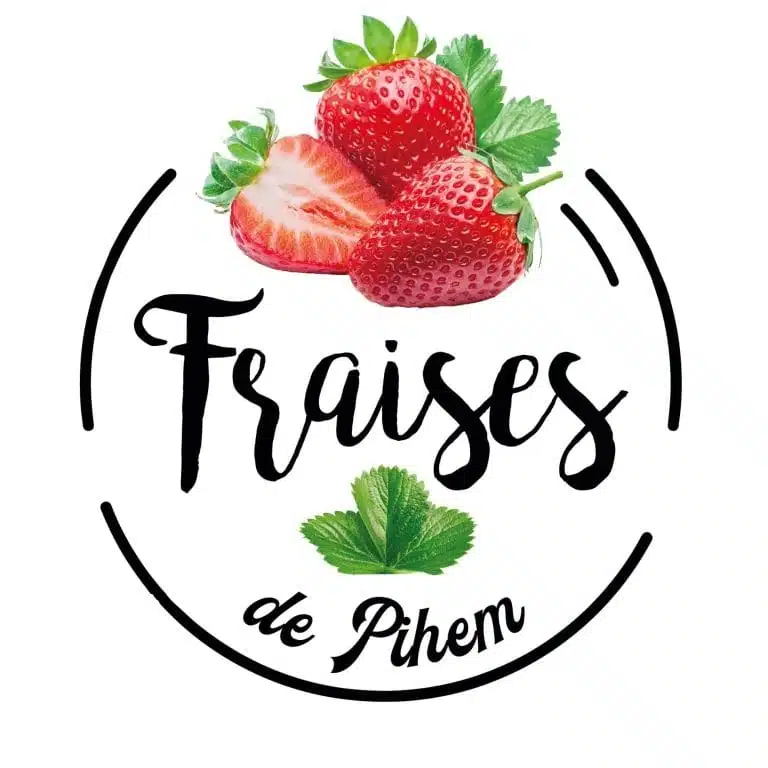 295087142 424506926361678 3017675072052755089 n 768x768