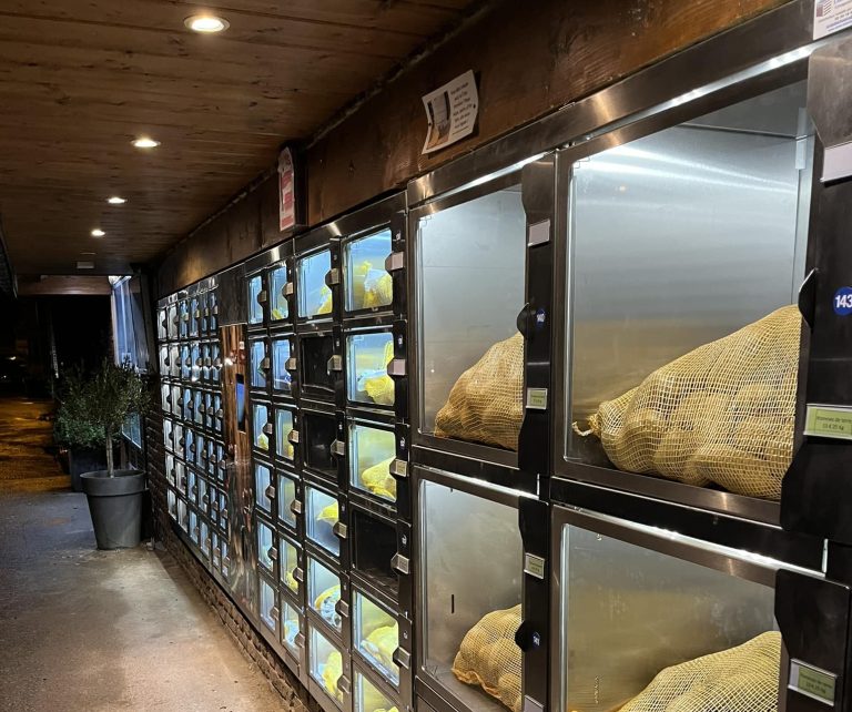 416012446 711662767727912 4518552214240276934 n 768x642