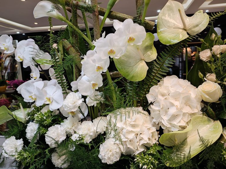 436280575 122114054306286994 2436917532324406445 n 768x576