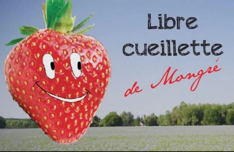 441954701 970313148427970 8978241322063440677 n 768x501