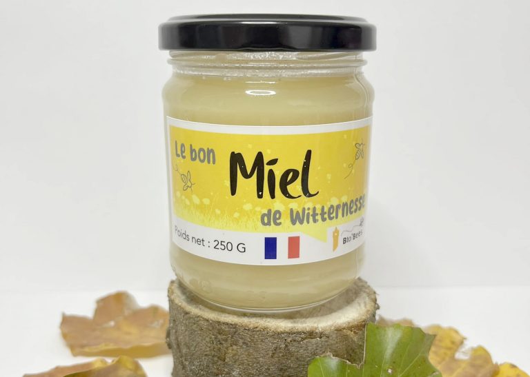 451765726 989901799812012 6109982014720304792 n 768x547