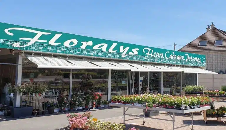 100683049 723891085107437 1791085449301721088 n 768x443