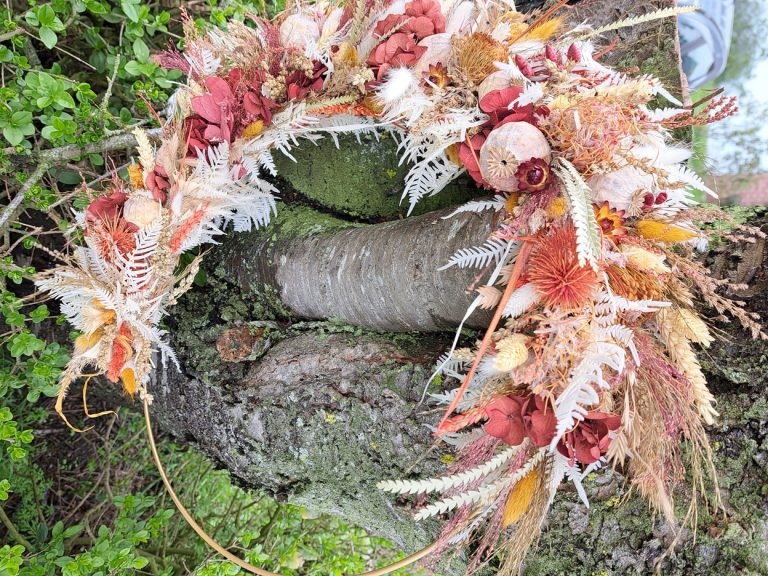 339426805 165129086054600 2353620978674646592 n 768x576