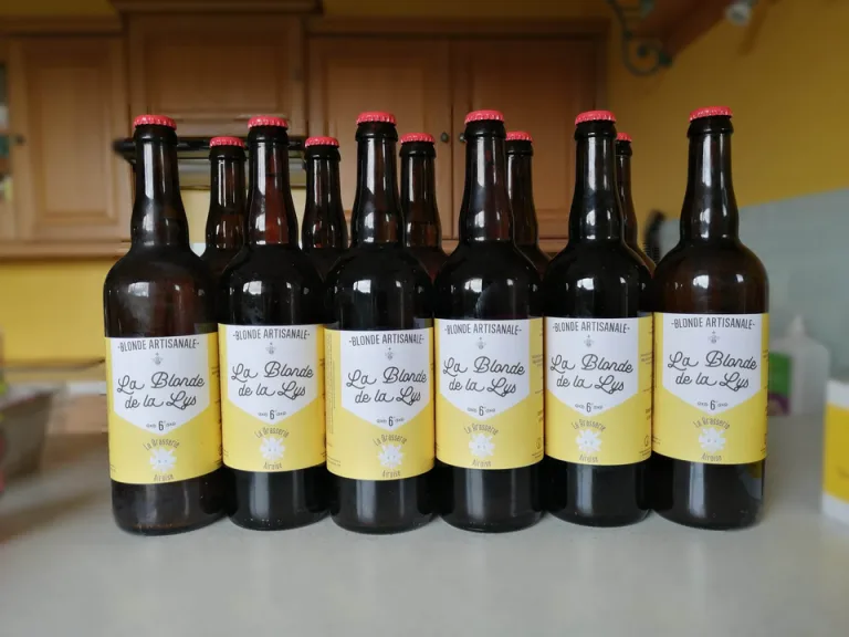 350364401 1298311740774837 2728737077067105718 n 768x576