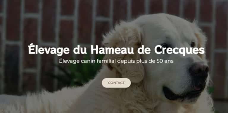 450868261 460956256693756 8565594355818226189 n 768x382