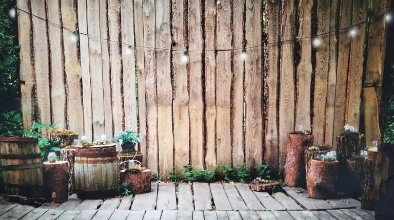 452562847 1008562447936472 325835974176489132 n 768x430