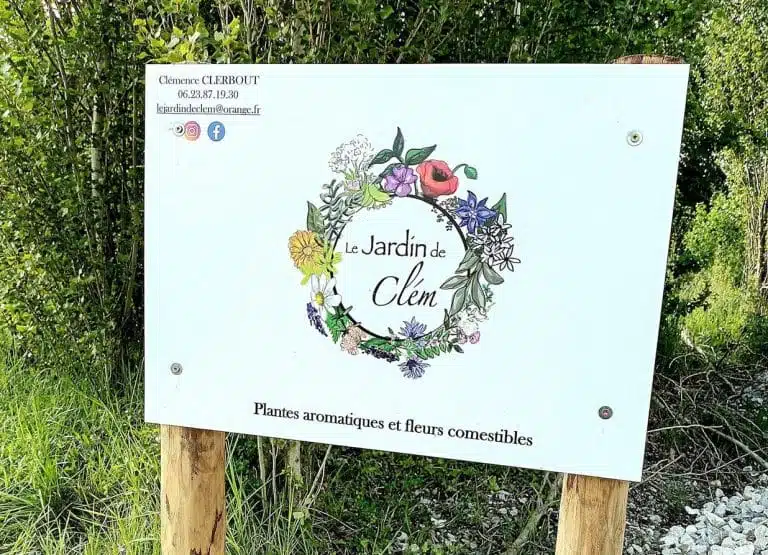 Jardin de clem Wittes 768x555