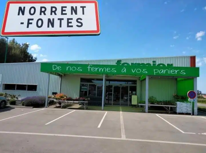 321958162 1333912470737217 4535158474967557793 n