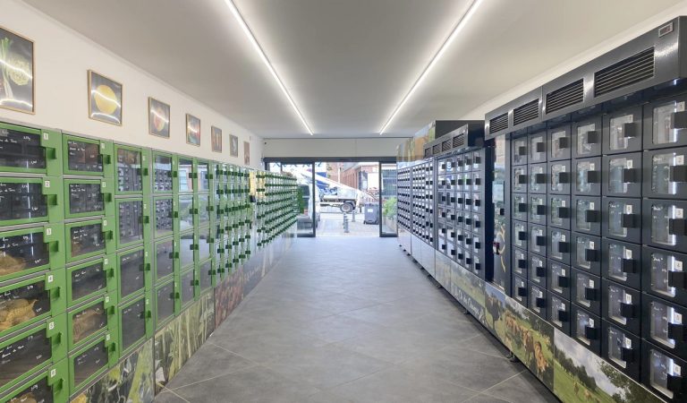 445787664 785768493641220 2516920565028564560 n 768x450