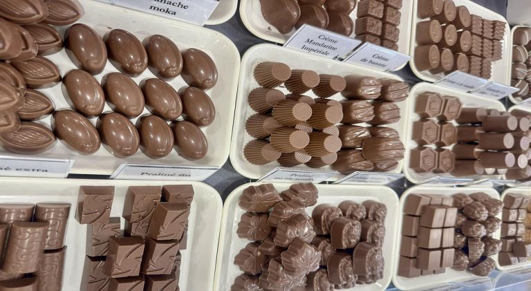 459754371 122162545604124432 7732669656005508101 n 768x421