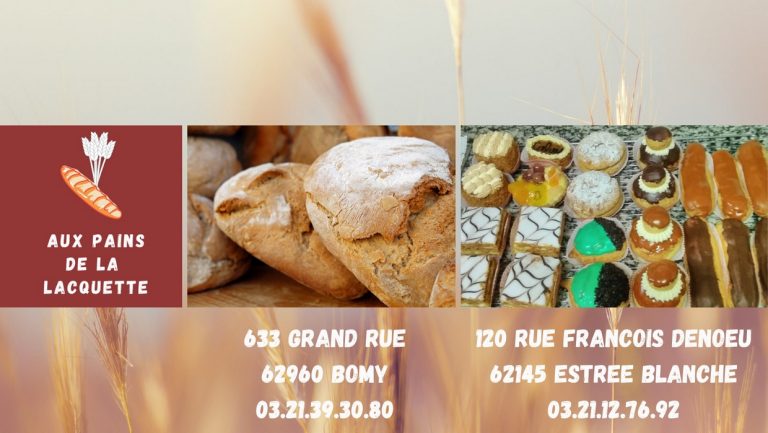 299680811 417773777084775 698149275740896285 n 768x433