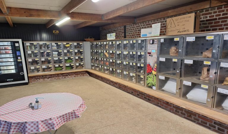 2e60a312 df20 48ce 8b06 483c910e816a 768x453