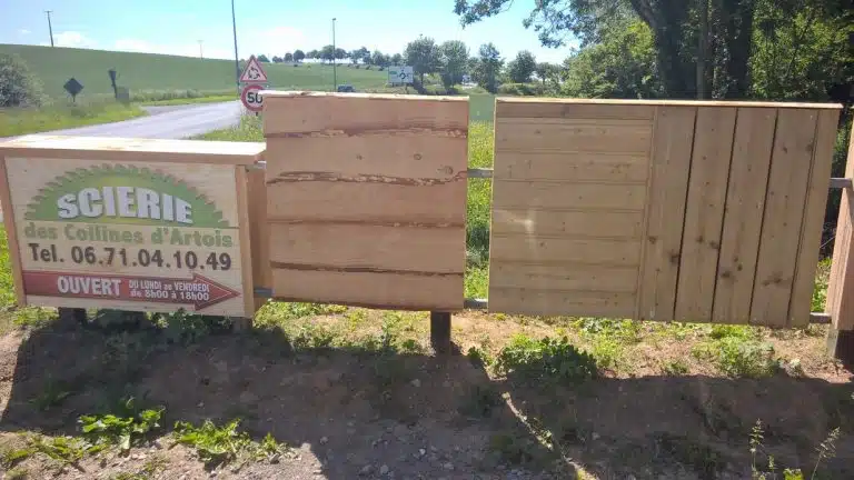 301412968 591182392852599 2012376451562830857 n 768x432