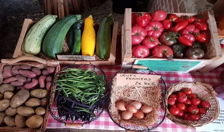 367386267 181321444963195 6716494480828348710 n 768x453