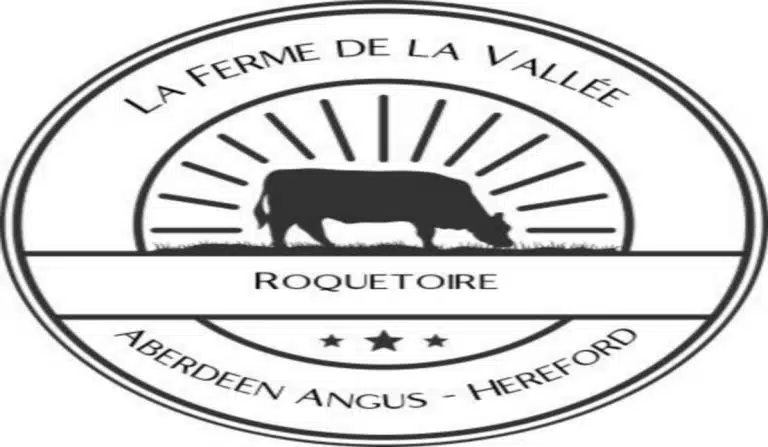 403728341 282032518158413 2951847815903236599 n 768x447