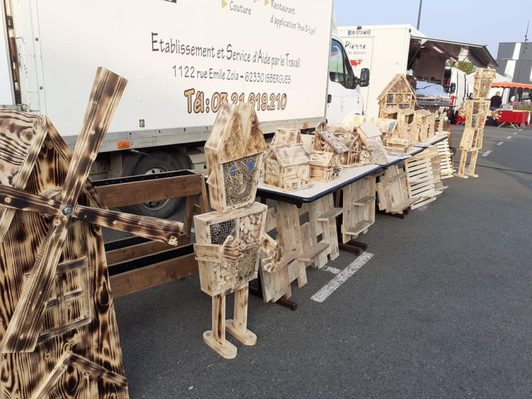 FB IMG 1727087432640 768x576