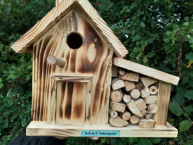 FB IMG 1727087517427 768x576