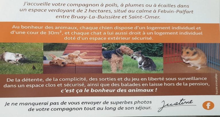 Febvin palfart 1 768x410