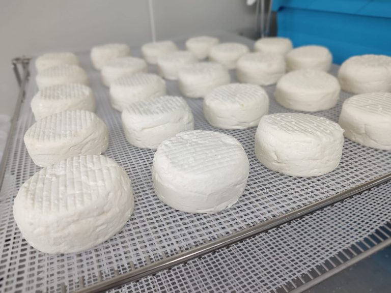 beaumetz les aire 4 768x576