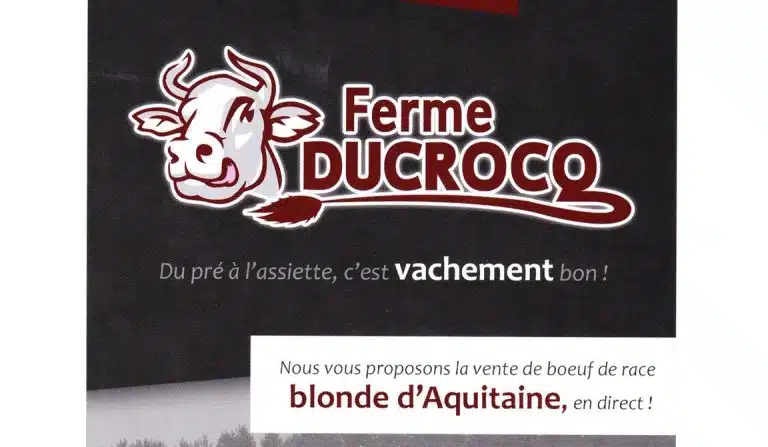 roquetoire 1 768x447