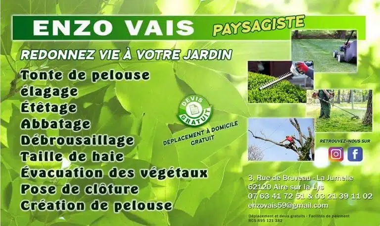 279181479 121458603849471 8228384876975591294 n 768x456