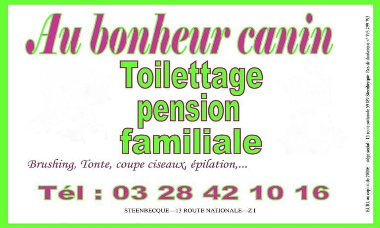 291474366 530924055486897 7227295700540269325 n 768x460