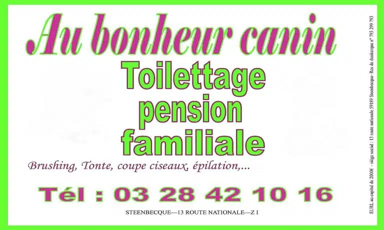 291474366 530924055486897 7227295700540269325 n 768x460