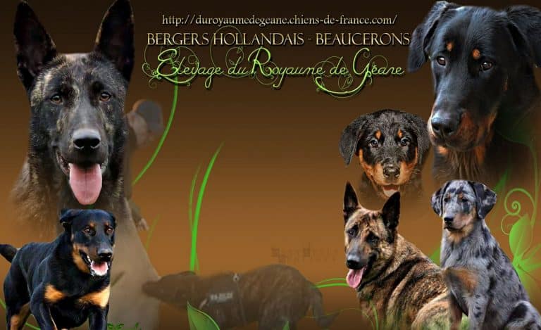 297276764 578523066972781 6791408878774996739 n 768x469