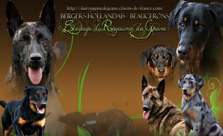 297276764 578523066972781 6791408878774996739 n 768x469