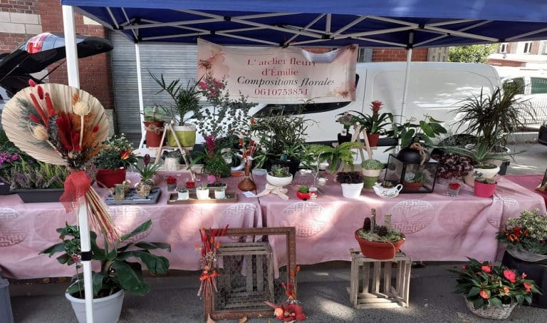 301153723 833119444724231 8646631139714098761 n 768x453