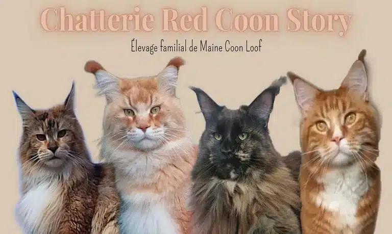 316250547 111692995102853 263249054038473475 n 768x459