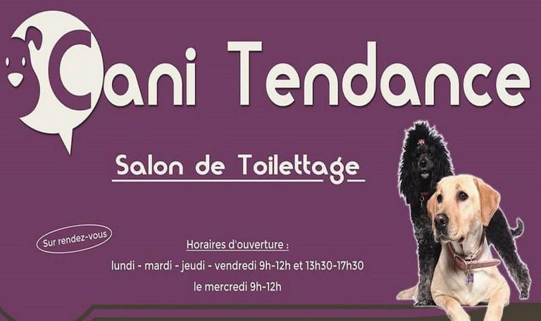 359100398 794248442393811 8018026651565946879 n 768x456