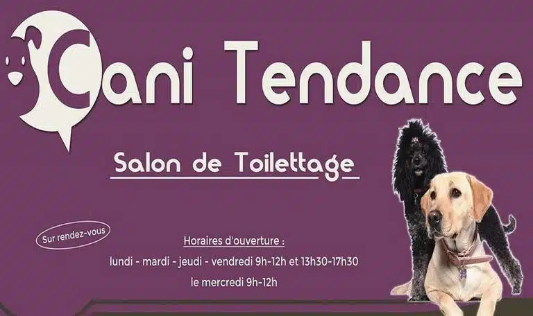 359100398 794248442393811 8018026651565946879 n 768x456