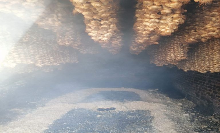 368007298 1034542714634712 3563849665762494330 n 768x465