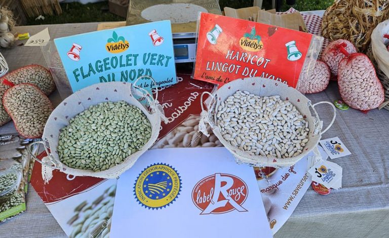 calonne sur la lys 3 768x469