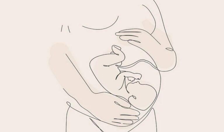 472136644 122109629756678791 228425739091250595 n 768x453