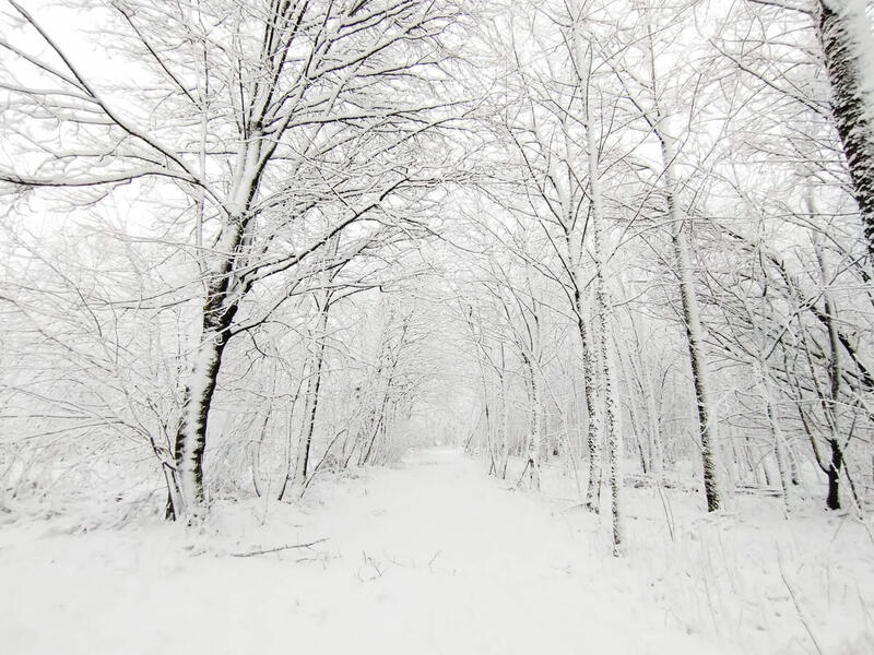 20 centimètres de neige à Fiefs