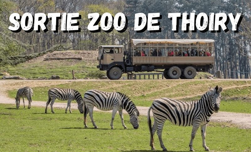 Sortie au zoo de Thoiry depuis Isbergues le 26 avril 2025