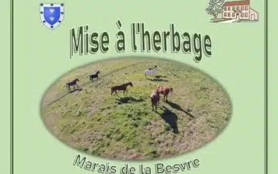 Marais cherche ses futurs pensionnaires à Witternesse