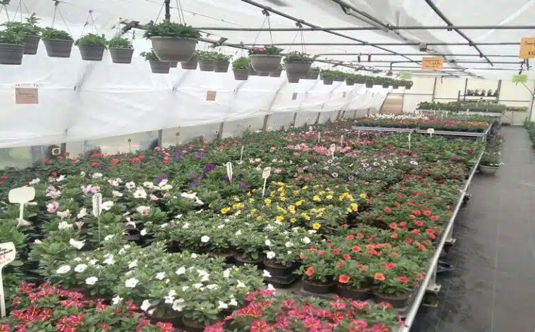 Sans titre 2 1 768x476