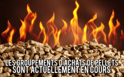 Groupement d’achats de palettes de pellets, ca cartonne!