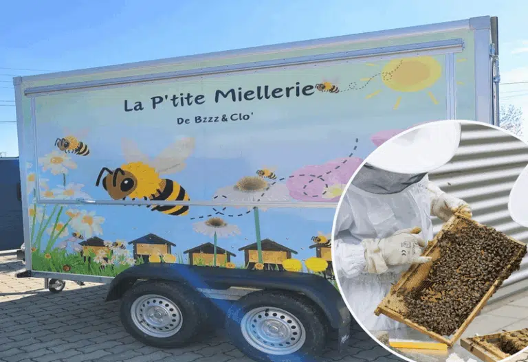 logo acadi 2000 x 1500 px 1 768x527