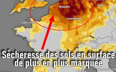 La région Hauts de France championne de l’ensoleillement en France!