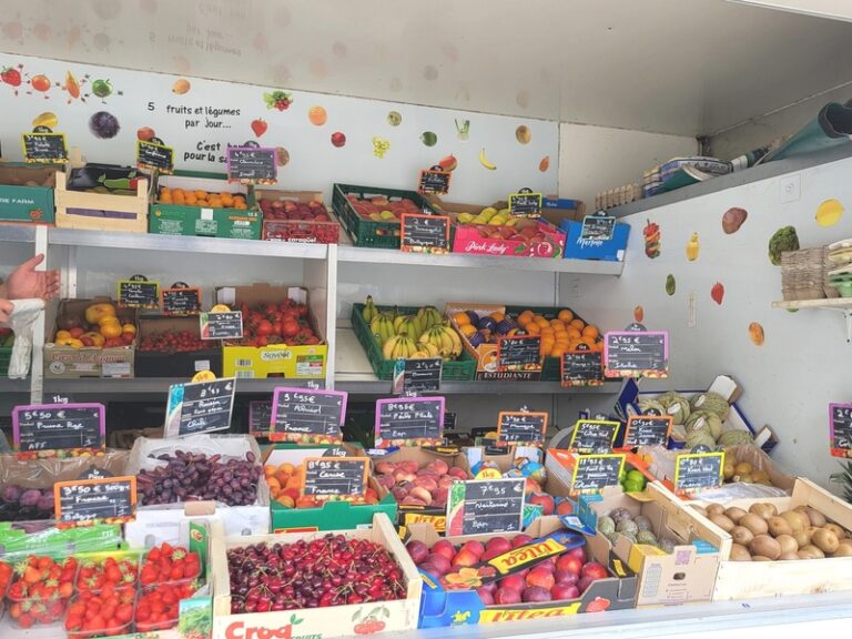 493276735 993677976293179 9072425617177209364 n 768x576