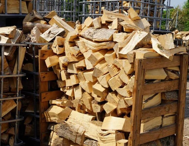 493694224 122205930056253488 7960491567407364332 n 1 768x594