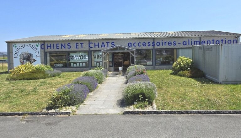 Business Suite creation 1265653845234953 768x440