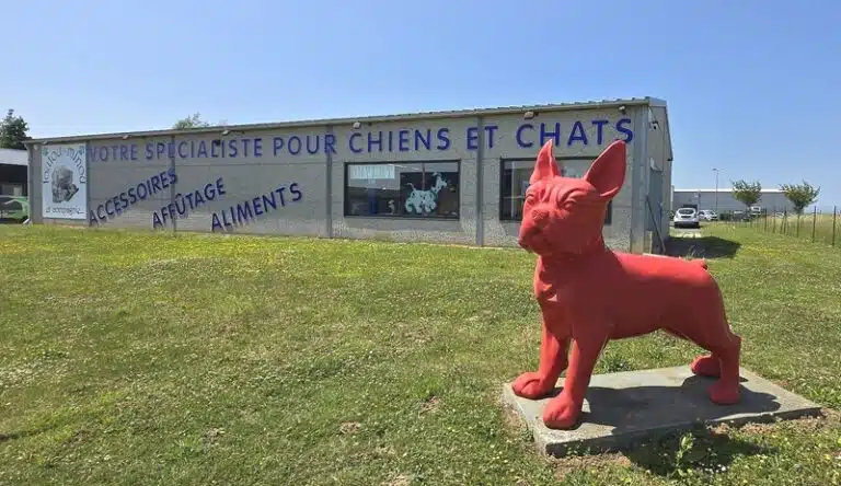 Business Suite creation 1806629403228214 768x444