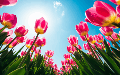 32 000€ de dons et des chèques pour de nombreux hôpitaux