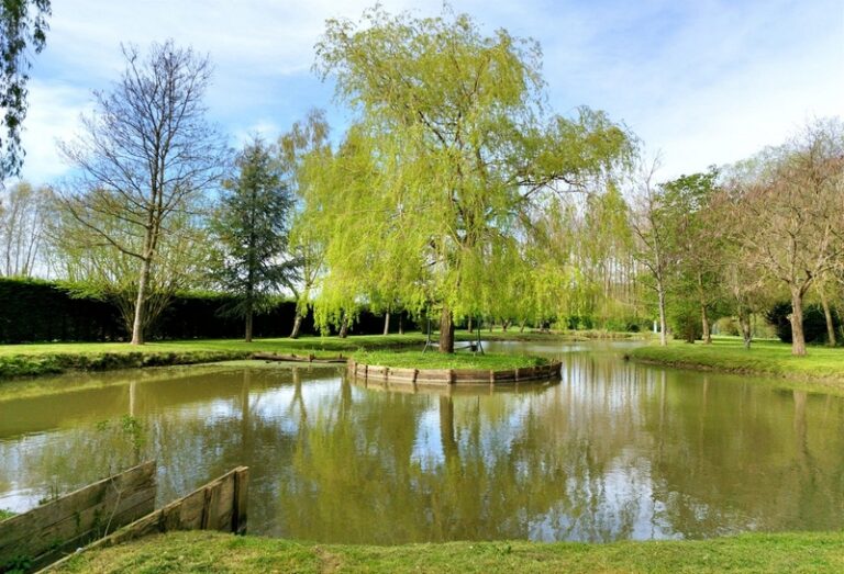 468659106 122152275170285554 5829402359245520973 n 768x523