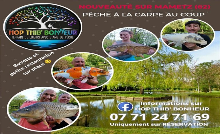 469889623 122153266148285554 6161209817218500416 n 768x468